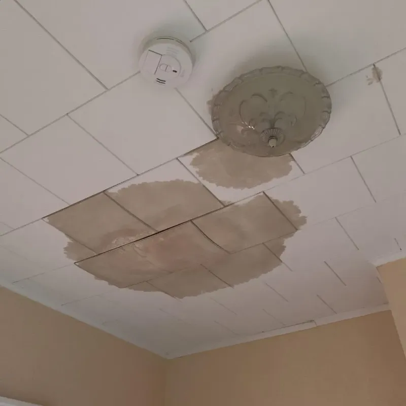 Ceiling Water Damage Repair in Glen Raven, NC
