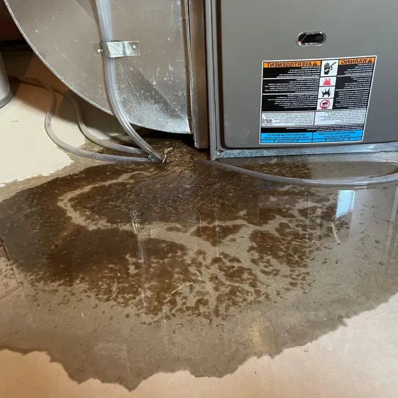 Pipe Burst and Leak Restoration in Glen Raven, NC