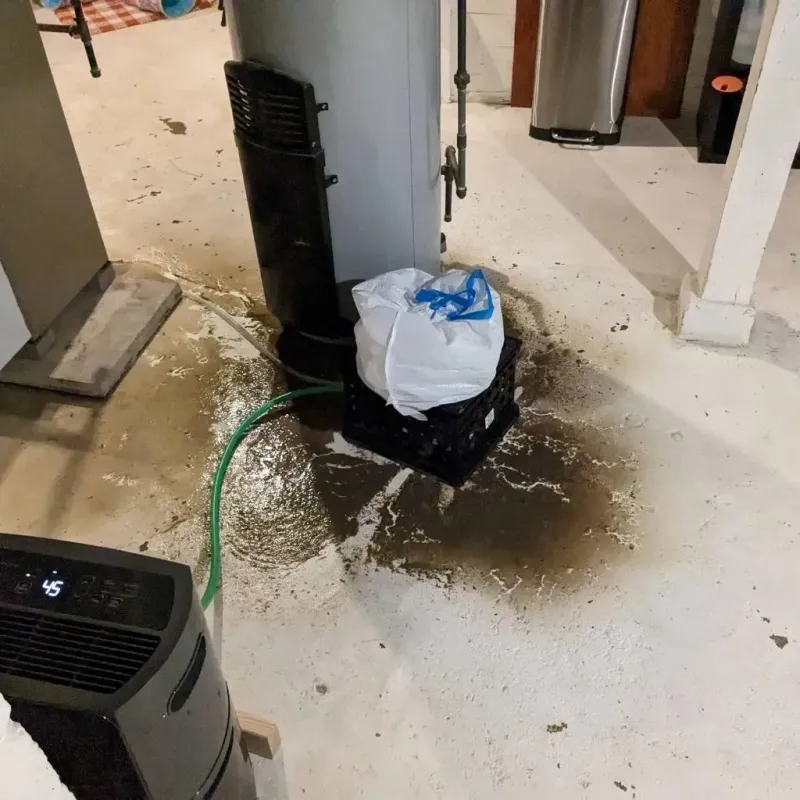 Sewage Backup Cleanup Service in Glen Raven, NC